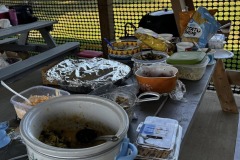 2025-picnic-13